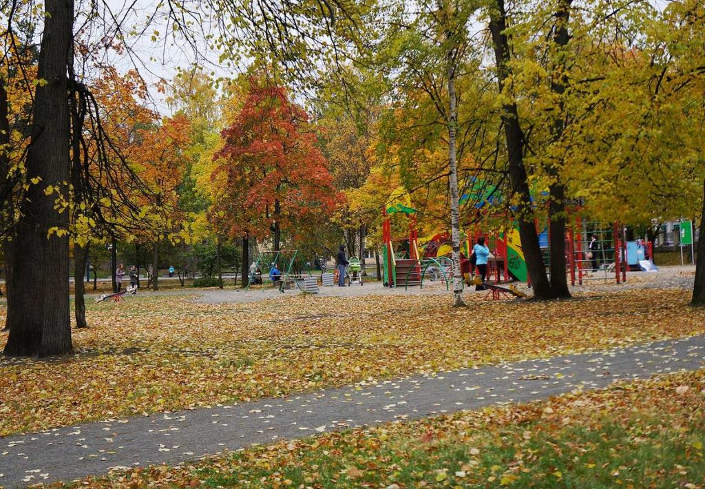 Детская площадка в парке Петрозаводска осенью