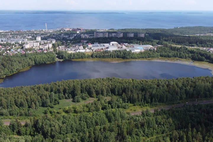 Районы Петрозаводска: где жить, где шумно и где дешевле