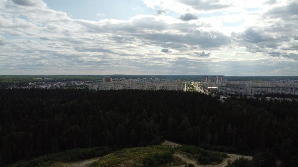Лес на краю Древлянки