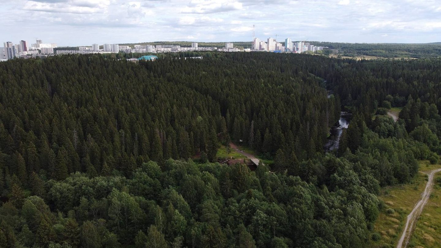 Кукковка в Петрозаводске: как устроен район, транспорт, поликлиника и магазины