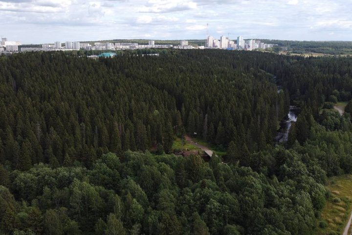 Кукковка в Петрозаводске: как устроен район, транспорт, поликлиника и магазины